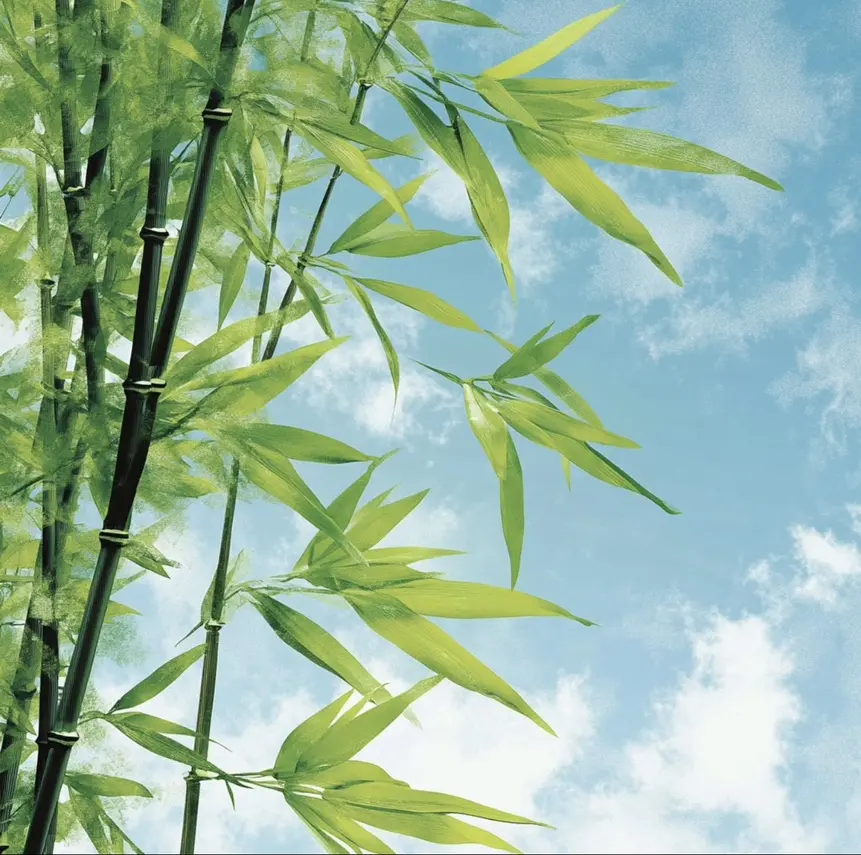 免费在线阅读《检察官室的提案》全本无删减小说-检察官室的提案TXT免费下载-高清资源畅读