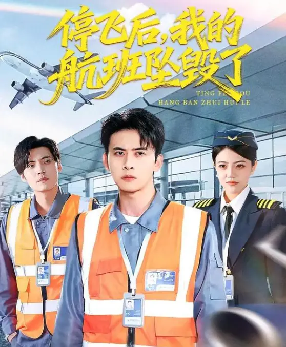 高分短剧 - 《停飞后，我的航班坠毁了》 - 全100集无广告4K未删减 - 《停飞后，我的航班坠毁了》免费播放【1080p中字】夸克下载
