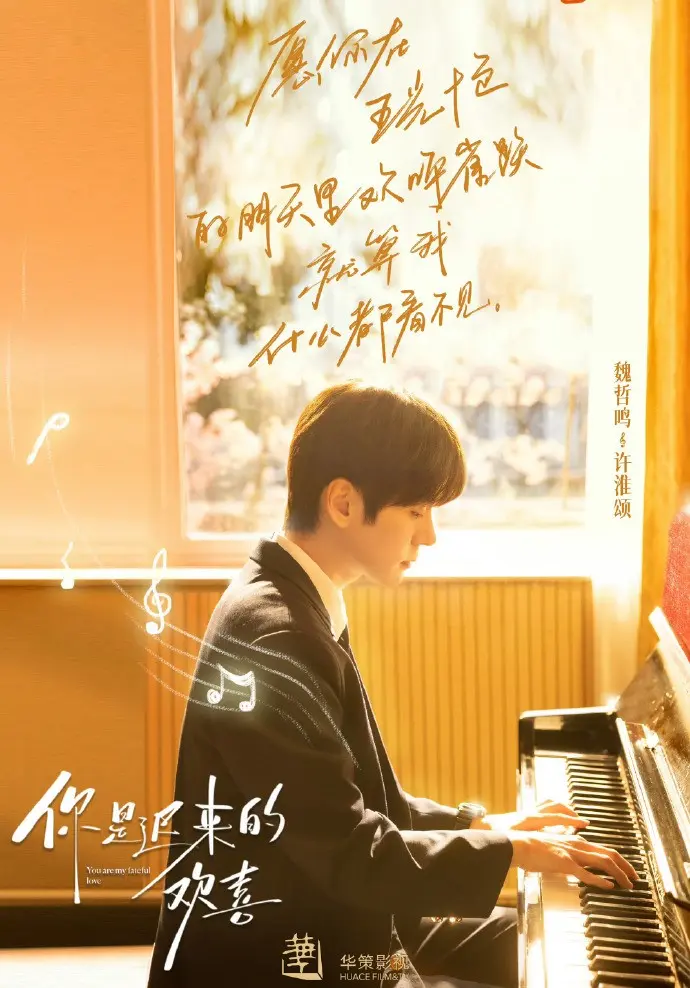 《你是迟来的欢喜》1080P高清无删减 - 2026魏哲鸣主演电视剧《你是迟来的欢喜》免费观看