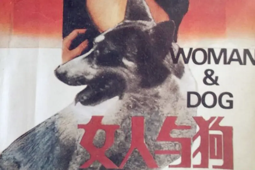 《女人与狗俄罗斯电影》1080P全1集无广告-《女人与狗》无删减高清完整版观看
