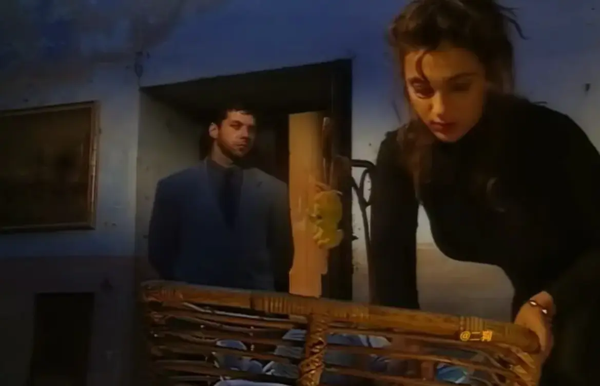 赛伦Selen主演《那不勒斯风格的剧本》1994意大利电影 - 《Sceneggiata Napoletana（1994）》啄木鸟系列未删减高清免费在线观看