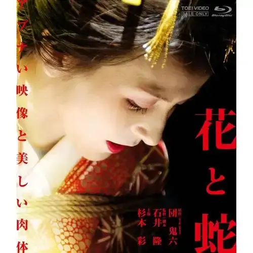 日本电影《花与蛇》1080P无删减-《花与蛇》在线看-星辰影院资源