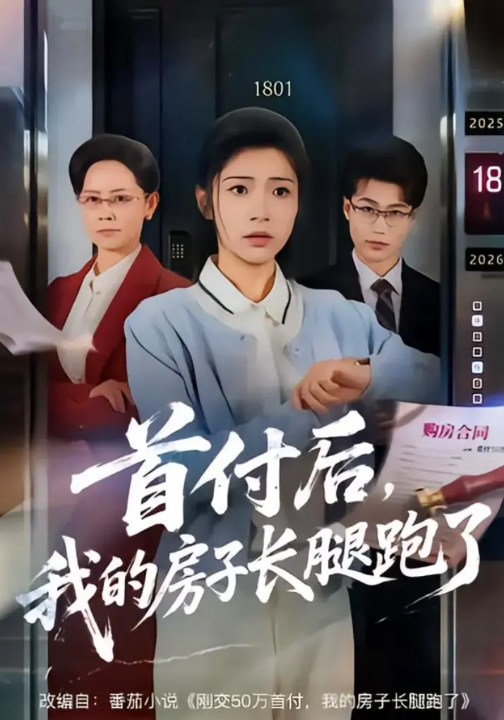《首付后,我的房子长腿跑了》相关资源图片