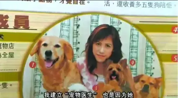 治愈电影《女人与狗》俄罗斯正片未删减版免费看-欧美《女人与狗》中字全集1080P高清在线播放无广告网盘资源