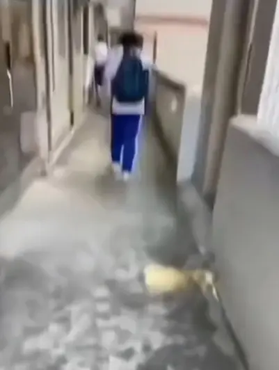 探秘《大昌市第七中学》，教室走廊惊现诡异身影，4K超清免费畅享，绝密调查档案同步分享，别错过！