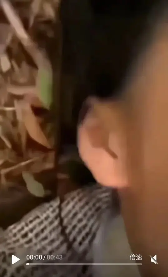 《美好瞬间》