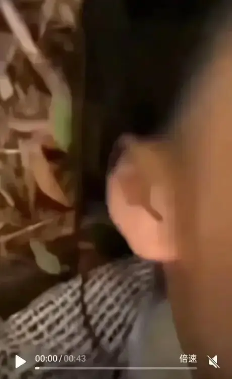 免费看《女轻奢事件》，感受轻奢事件热度，双人大战刺激上演，校园轻奢男孩与轻奢二人组的精彩全收录！