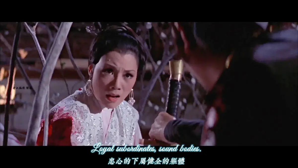 香港爱情电影《爱奴》高清完整版在线观看 - 剧情片《爱奴》免费看