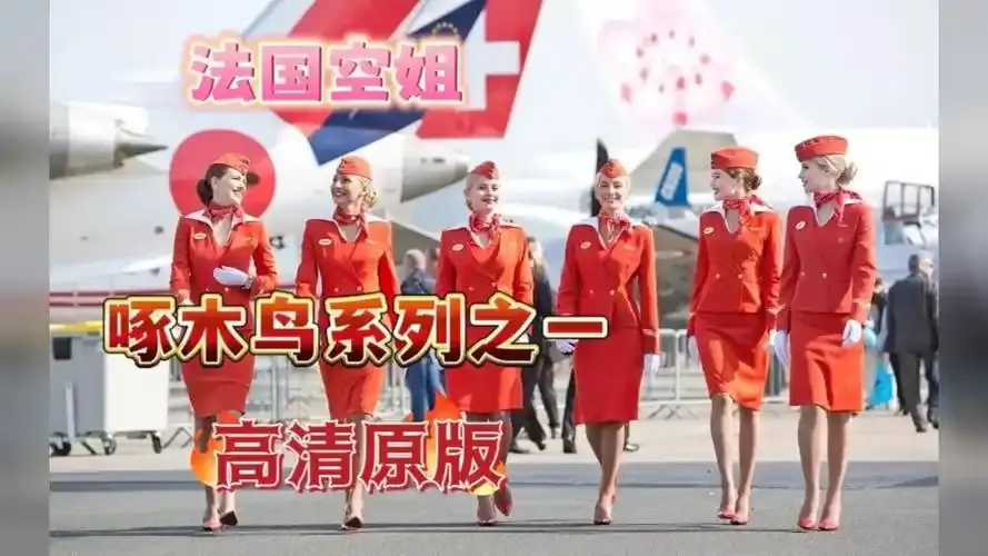 法国电影经典之作《法国空姐》，1080P高清画质免费看，带你体验塞尔维亚飞行精彩，《法国空姐》全集别错过！