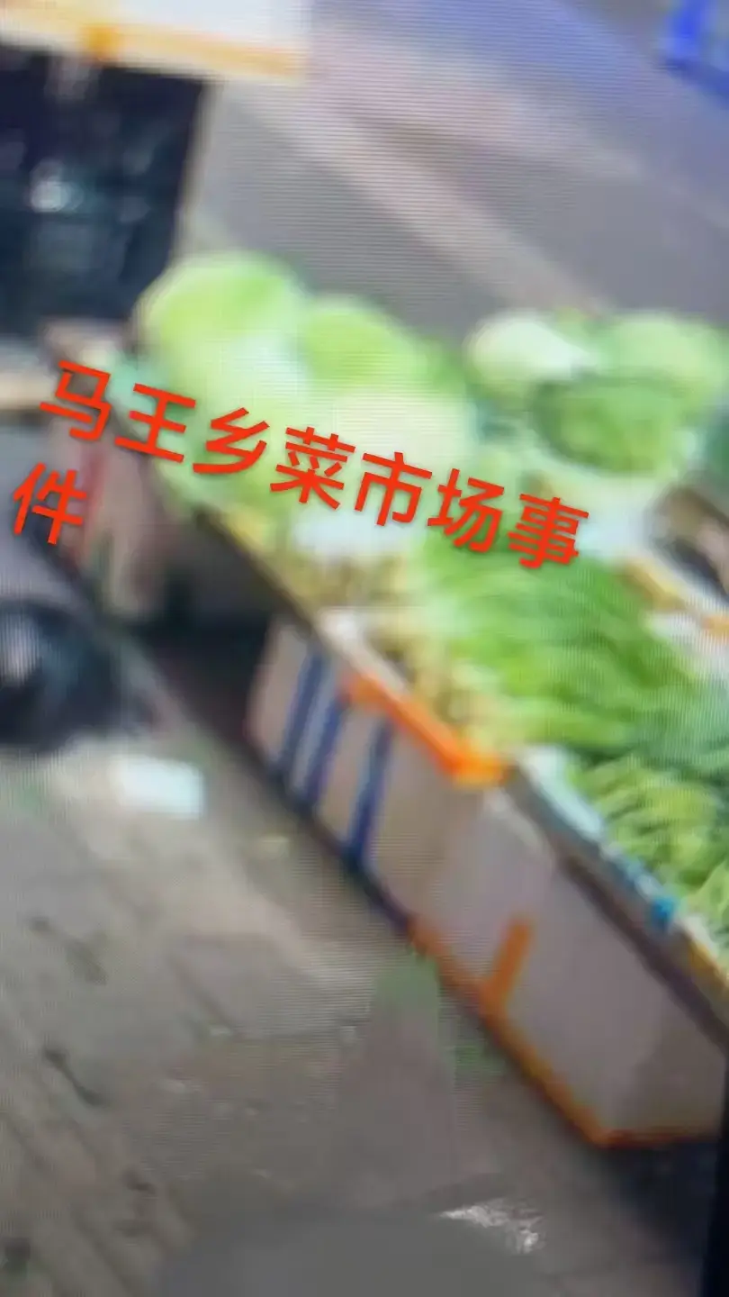 《重庆马王乡菜市场事件》最新同步更新！高清蓝光画质，一手视频曝光，含关键节点时间标记！