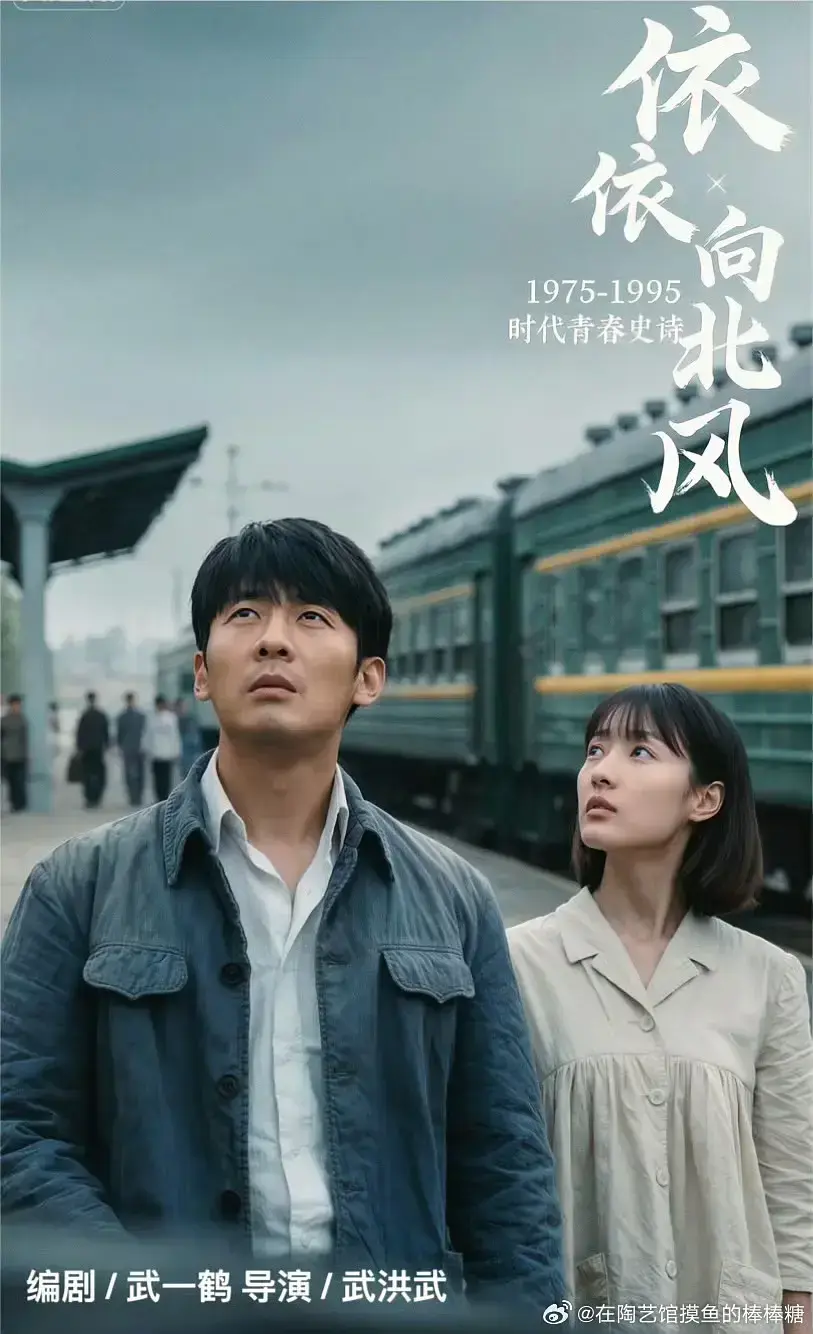 《依依向北风》中文版高清全集 - 免费无广告未删减在线看 - 国剧依依向北风网盘观看2025菅纫姿主演
