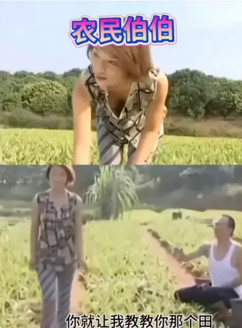 《农民伯伯乡下妹》台湾冷门乡土剧-全集高清未删减免费看-农民伯伯乡下妹的治愈日常-被低估的乡村生活宝藏