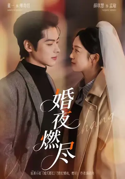 在线短剧《婚夜，燃尽》（72集）卡戎林秋奈 婚夜，燃尽免费观看4K【1080p超清中字】百度云网盘资源下载-颜值顶配酸涩甜宠！