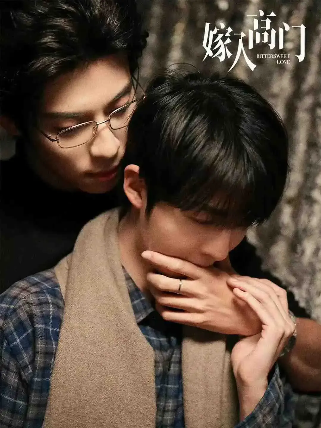 2026新剧《嫁入高门的男人》全集未删减免费看，高清在线畅享完整版剧情 - 《嫁入高门》HD画质无广告播放