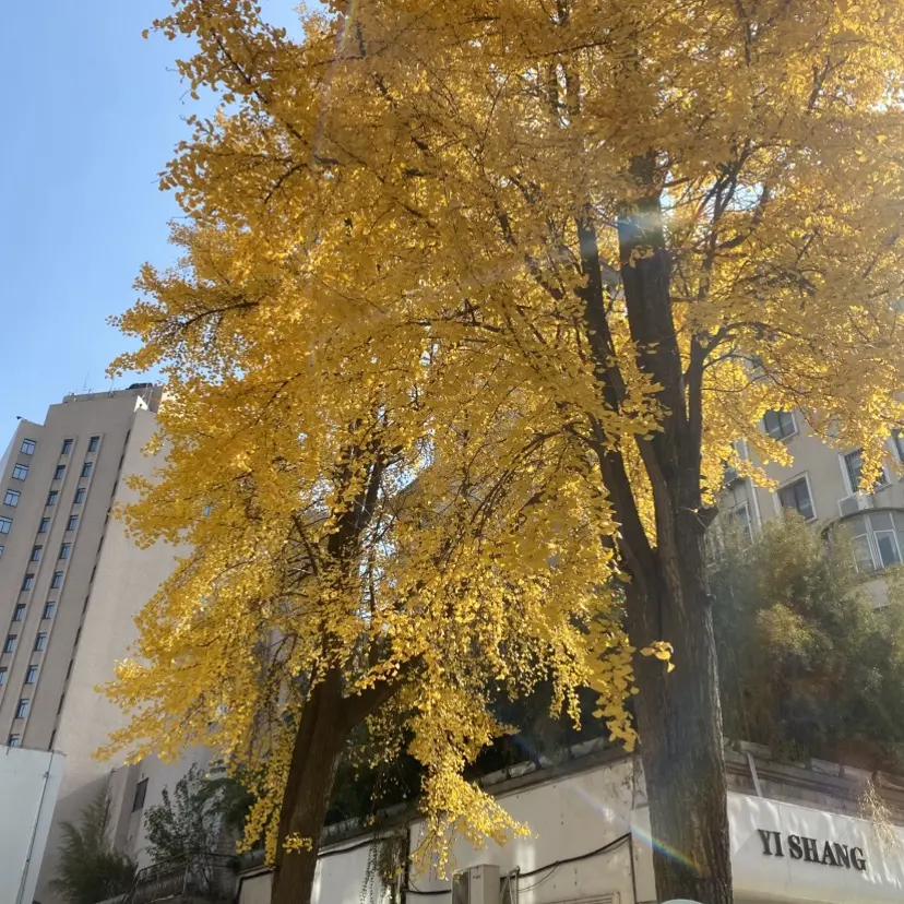 《今泉家似乎变成辣妹聚会所》全1-6集高清无删减在线观看_《今泉家似乎变成辣妹聚会所》无修版1080P网盘下载_全网动漫-家庭辣妹浓度拉满！